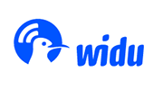 The WIDU Process